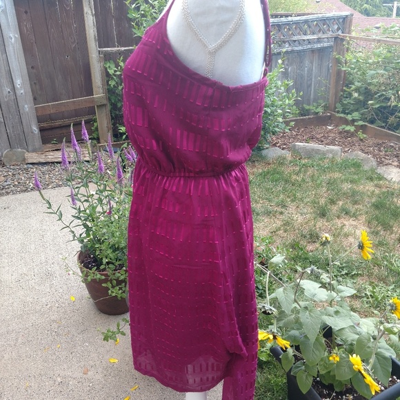 Ann Taylor Rasberry Colored Sundress - Picture 6 of 8